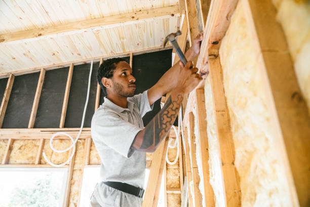 Best Insulation Repair Services  in Beardstown, IL
