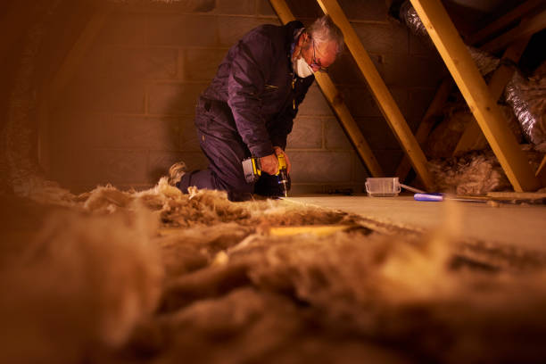 Best Blown-in Insulation  in Beardstown, IL