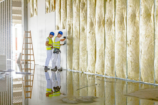 Best Insulation Contractor Near Me  in Beardstown, IL